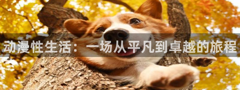 age动漫下载苹果：动漫性生活：一场从平凡到卓越的旅程