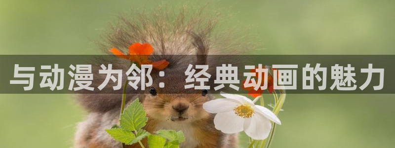 age动漫动画网站