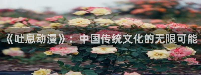 age动漫官网