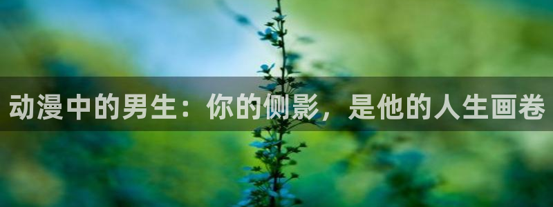 age动漫网址