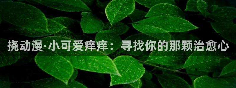 age动漫免费观看